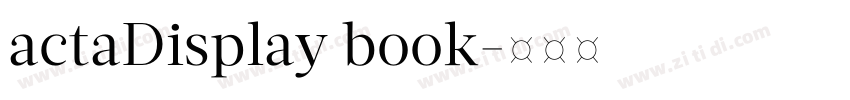 actaDisplay book字体转换